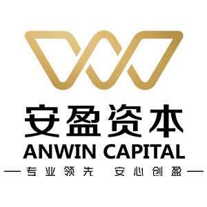 华创安盈投资控股