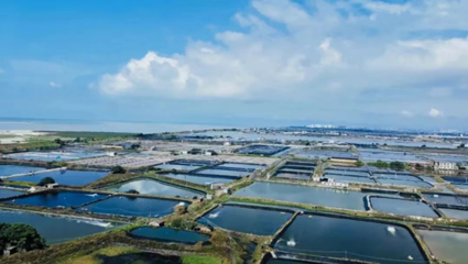 中国农业大学教授张正河:“锅圈模式”有力推进农村“三产融合”