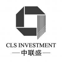 中联盛国际投资控股