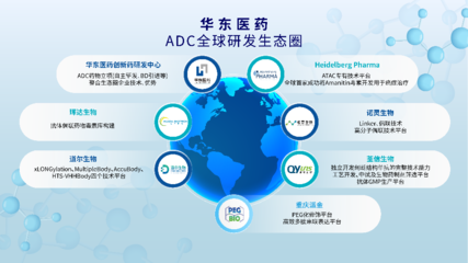 华东医药Heidelberg Pharma股权投资交易全部完成,加速布局ADC蓝海赛道