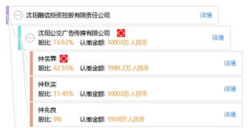 沈阳融信投资控股有限责任公司 投资控股的战略实践与前景