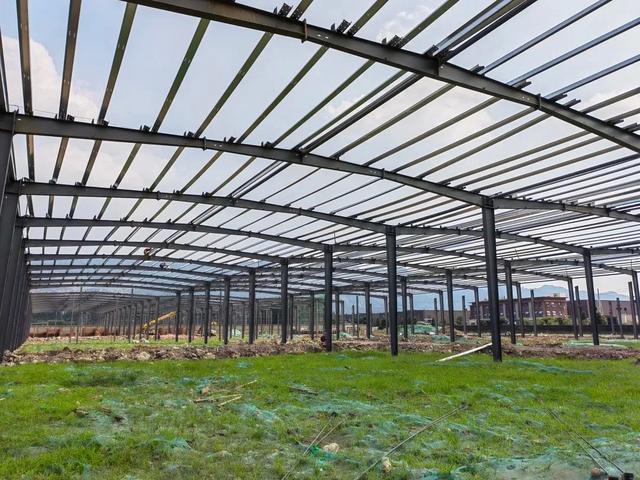 戴着口罩抓发展 蒲江两大重点项目预计今年12月底竣工投用