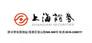 上海证券丽水营业部开业盛典，投资控股引领财富未来