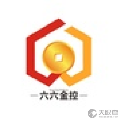 深圳市六六金投资控股 洞见资本力量，赋能产业未来